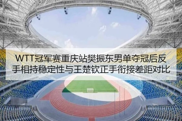 WTT冠军赛重庆站樊振东男单夺冠后反手相持稳定性与王楚钦正手衔接差距对比