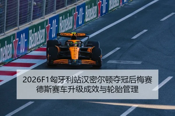 xiong-ya-li-zhan-han-mi-er-dun-duo-guan-hou-mei-sai-de-si-sai-che-sheng-ji-cheng-xiao-yu-lun-tai-guan-li-3-952.jpg